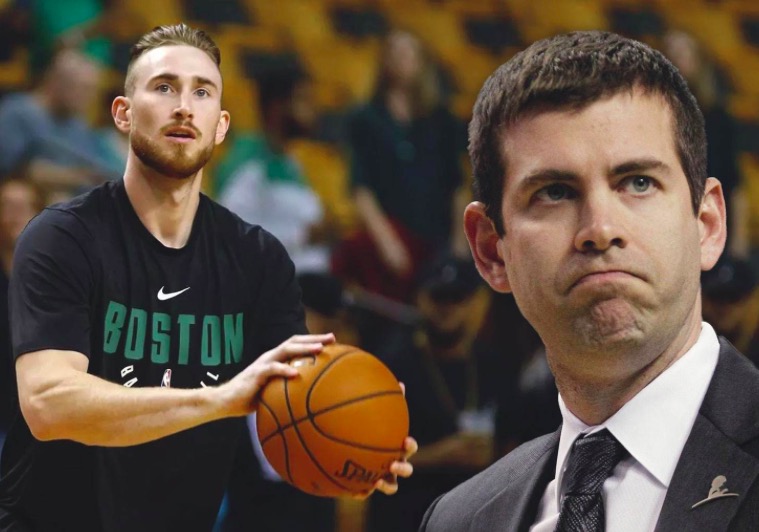 请了专业的 请了专业的